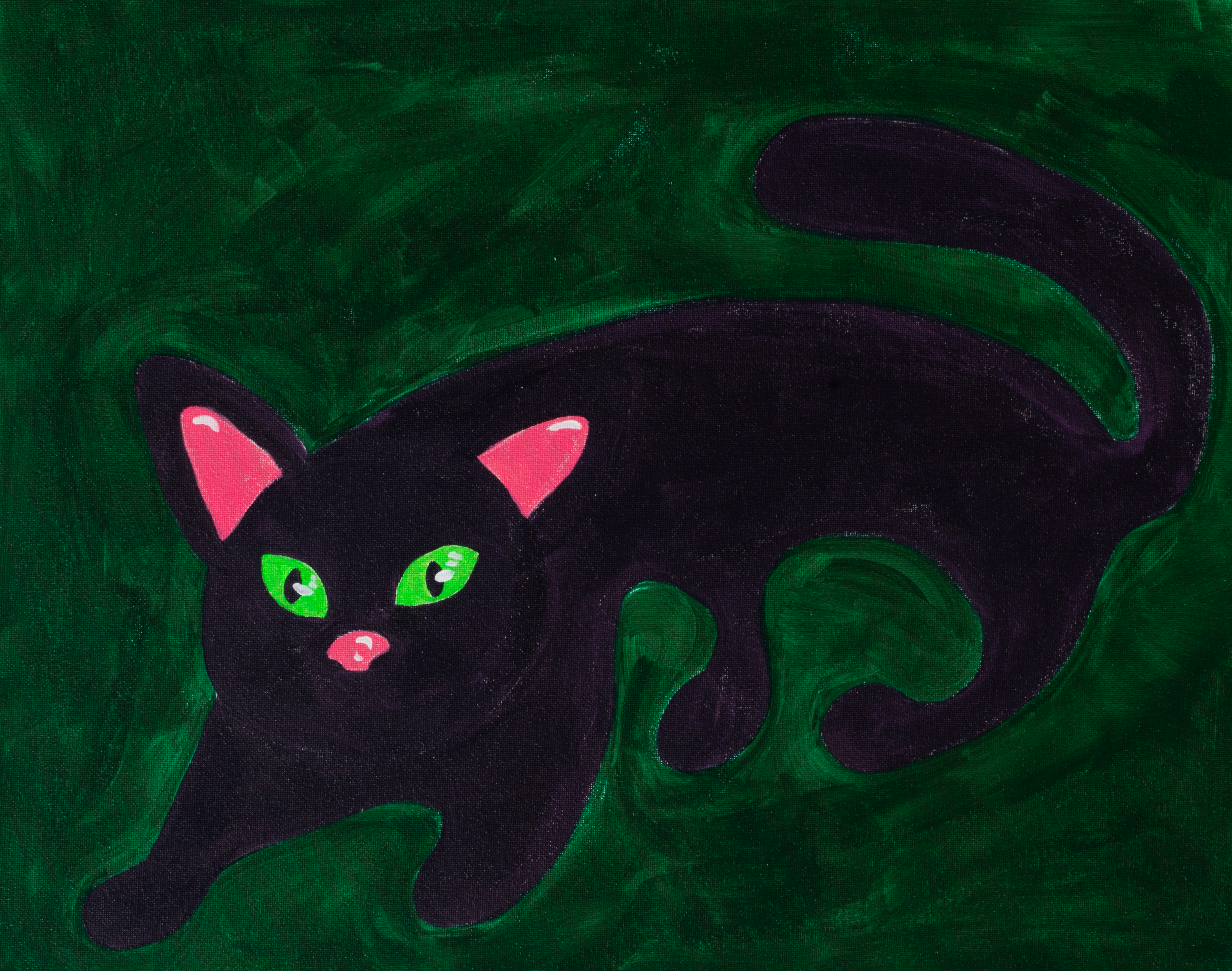 cat